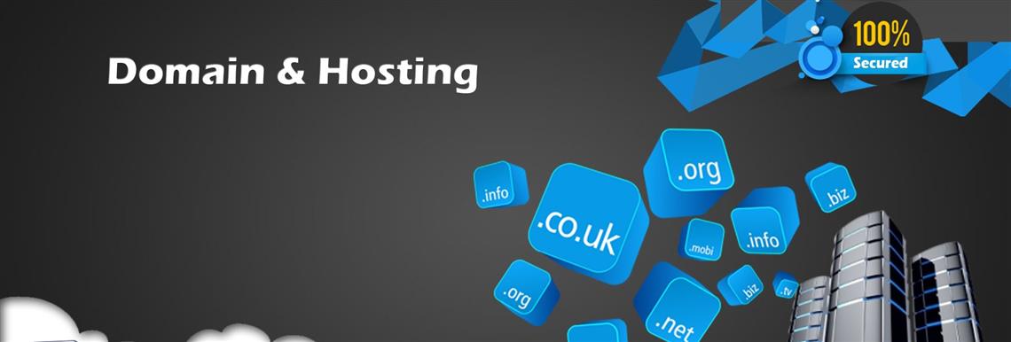 domain & hosting